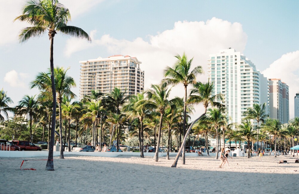 Photo of beach with palm trees in front of skyline of Miami, Florida.