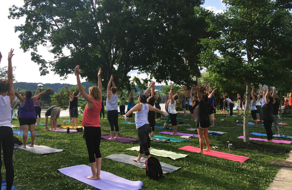 People stretch their arms skyward while standing on yoga mats.