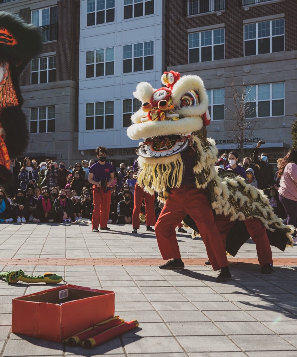 Lunar New Year lion dancers perform in a plaza.