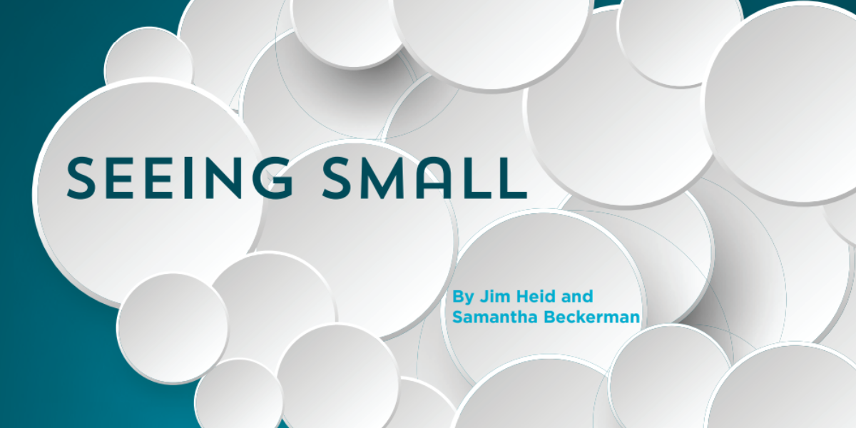 Graphic featuring lots of overlapping small bubbles in a cloud. Text reads "seeing small, by Jim Heid and Samanthan Beckerman."