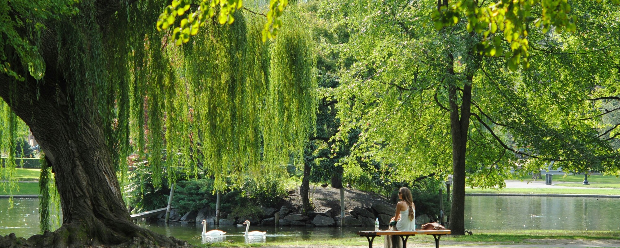 Woman sitting in a bench looking at a tree-lined pond