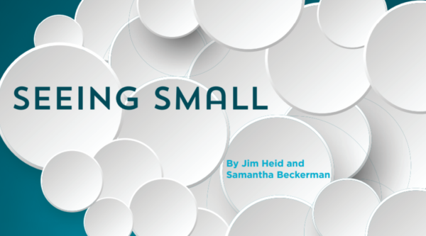 Graphic featuring lots of overlapping small bubbles in a cloud. Text reads "seeing small, by Jim Heid and Samanthan Beckerman."