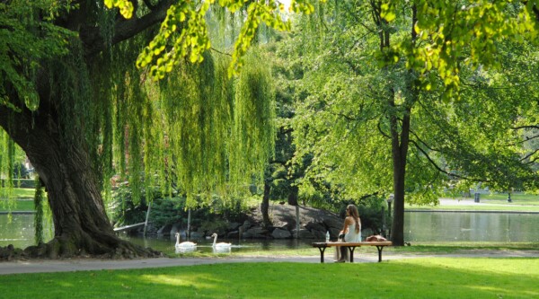 Woman sitting in a bench looking at a tree-lined pond