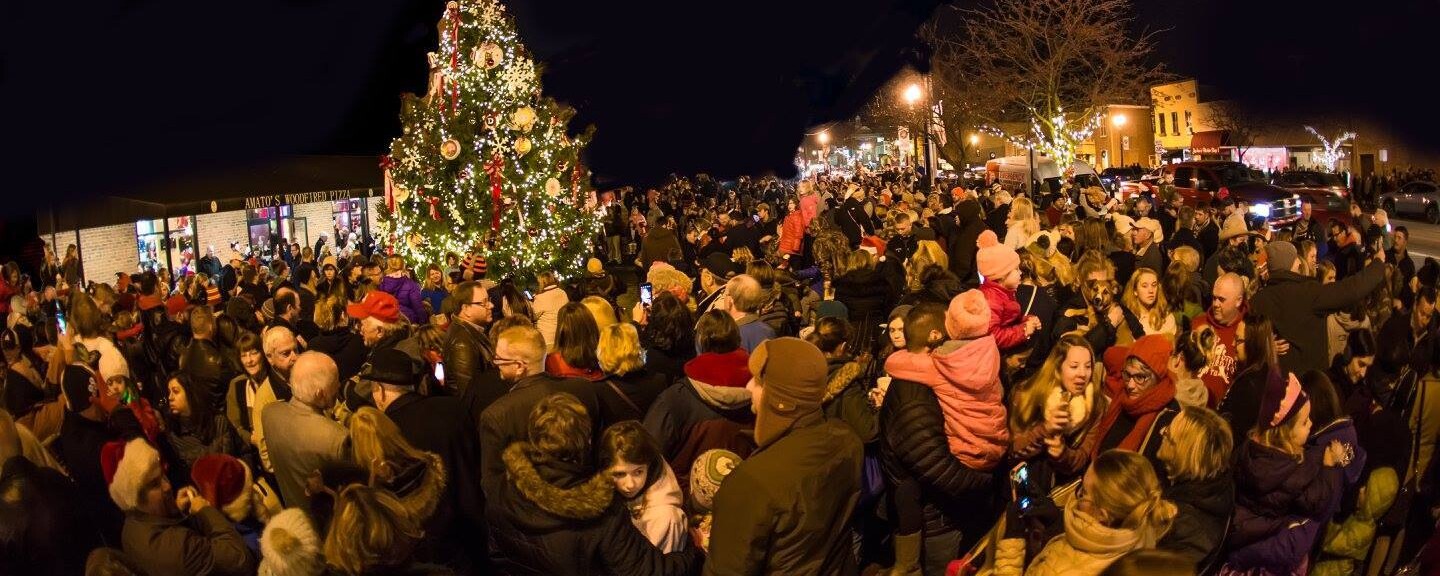 A large group of people watching an outdoor Christmas tree lighting