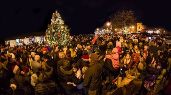 A large group of people watching an outdoor Christmas tree lighting