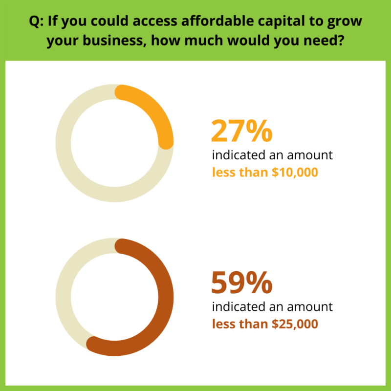 Two charts showing how much affordable capital respondents need: the top chart conveys that 27% need less than $10,000; the bottom chart reports that 59% need less than $25,000.