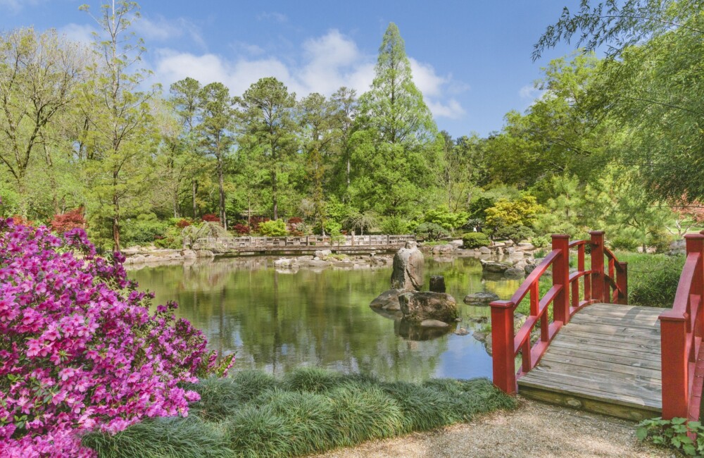 A large pond surrounded by leafy trees; in the foreground, a bush with magenta flowers (left) lines a walking path leading to a curved bridge (right).