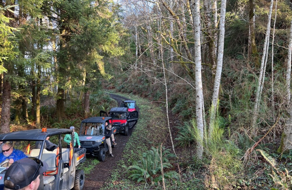 Three all-terrain vehicles park in line on a wooded path