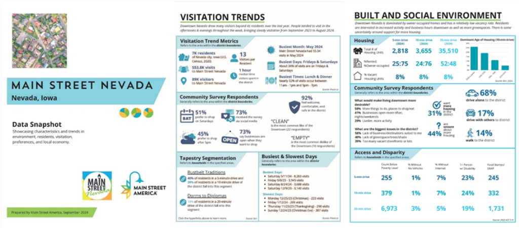 Data report showing Main Street visitation and demographic information