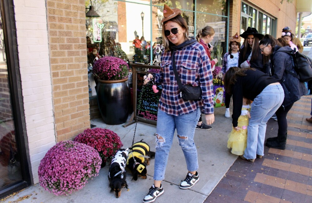 A woman walking two dogs wearing a bee costume and a cow costume