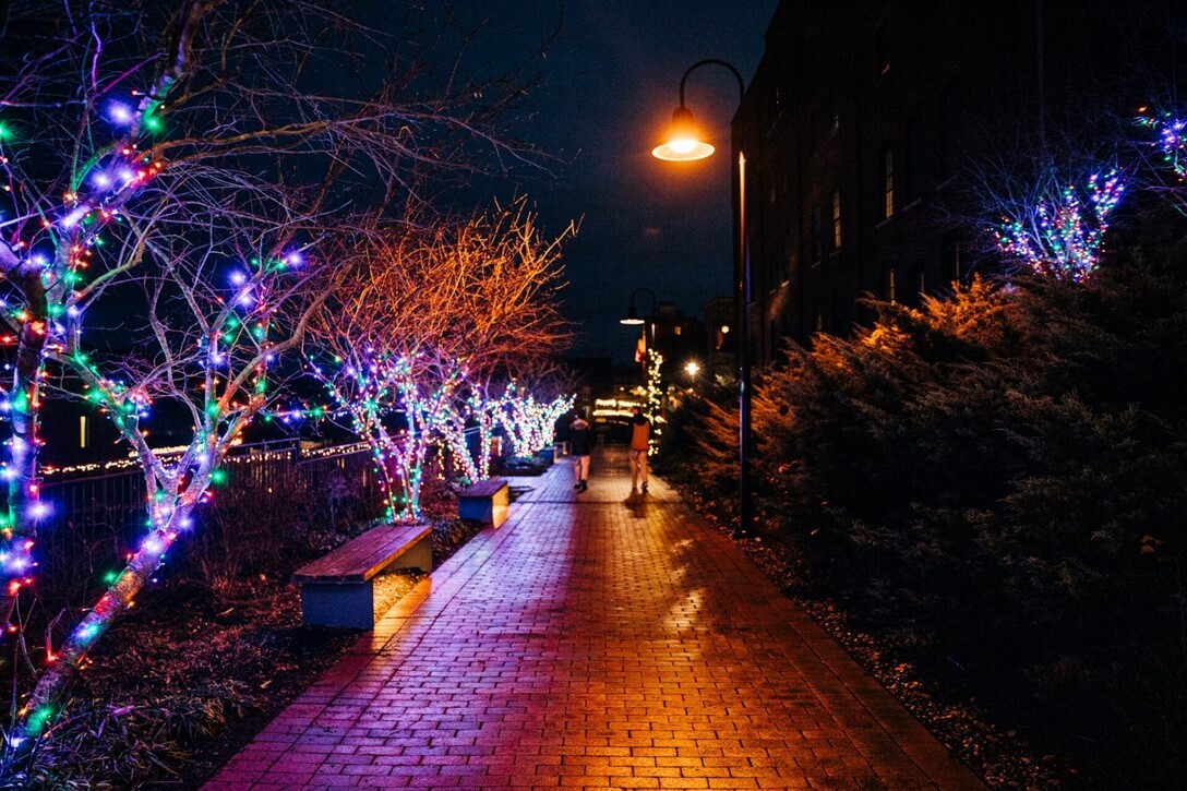 Colorful lights wrapped around trees in a downtown park