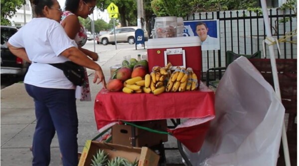 Two women look at fresh produce for sale at a small vegetable stand