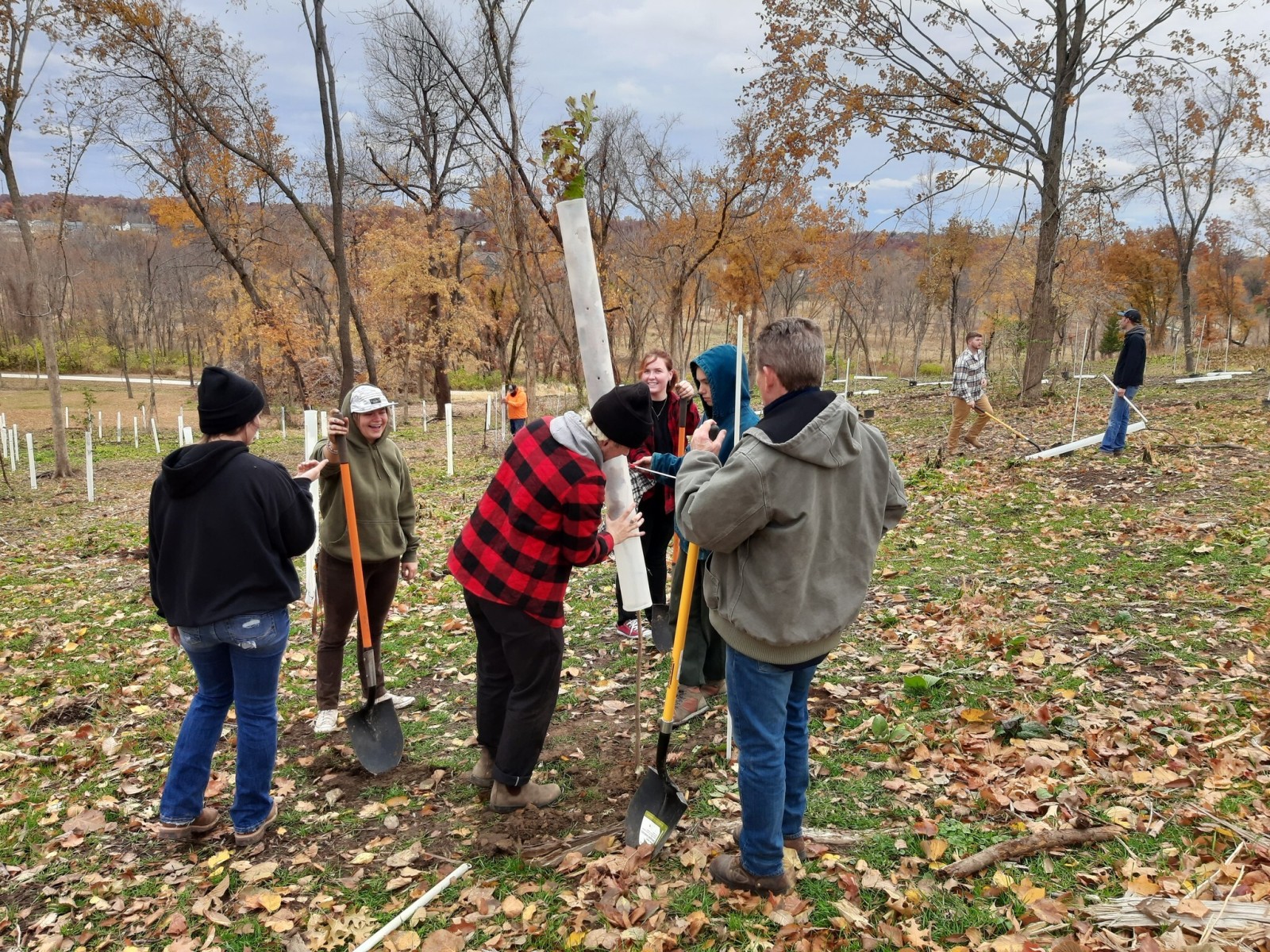A group of people digging holes in a park to plant trees