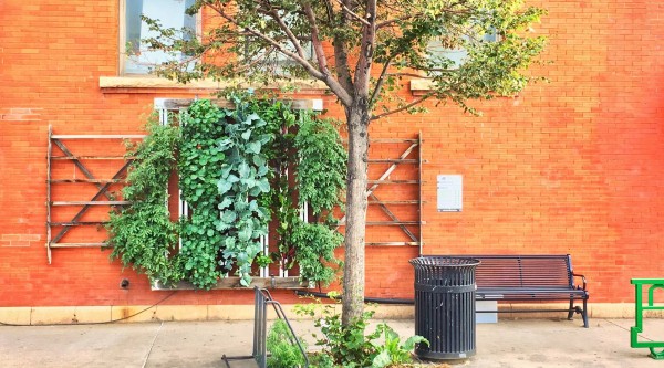 Vertical planters on an orange brick wall.